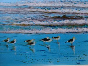 « ballade en Baie de Somme» « ballade en Baie de Somme»